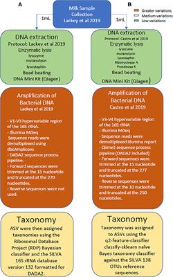 Comparison of Two Approaches for the Metataxonomic Analysis of the Human Milk Microbiome